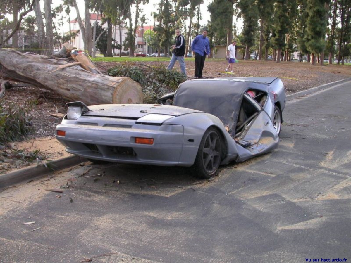 voiture Porsche bucheron écrasement arbre